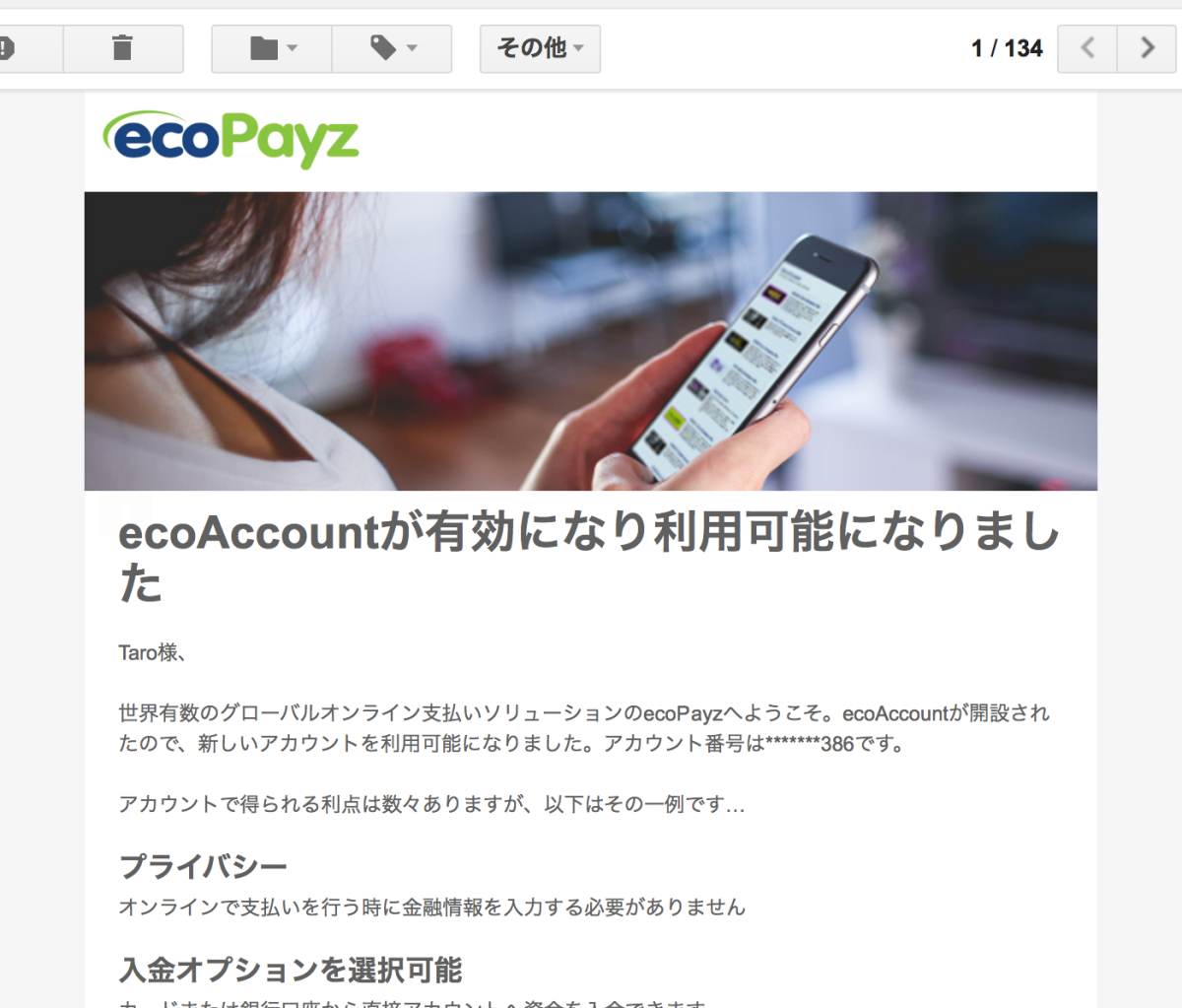 エコペイズ(ecoPayz)登録パソコン5