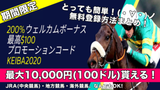 【競馬】新規登録で最大1万円,200%フリーベットキャンペーン中！