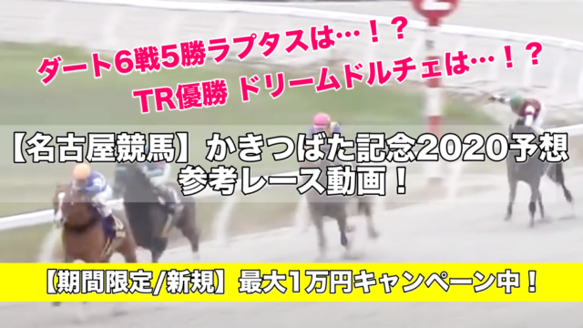 【名古屋競馬】かきつばた記念2020予想&参考レース動画！
