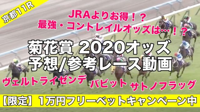 菊花賞2020オッズ発表(予想&過去参考レース動画)コントレイル無敗三冠へ評価は…