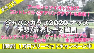 ジャパンカップ2020オッズ発表(予想&過去参考レース動画) アーモンドアイ,コントレイル,デアリングタクトら有力馬評価は…