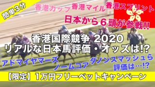 【競馬】香港国際競争2020日本出走登録馬オッズ評価は!?アドマイヤマーズ,ノームコア,ダノンプレミアムら