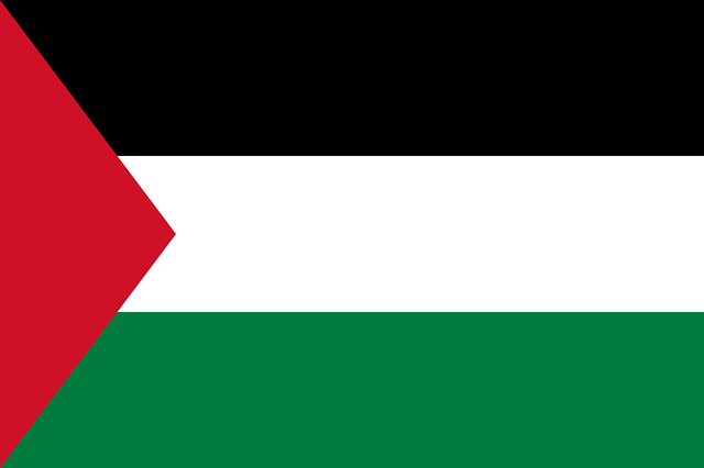 サッカーパレスチナ代表(アジアカップ2023)