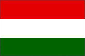ハンガリー国旗 EURO2024本大会出場国